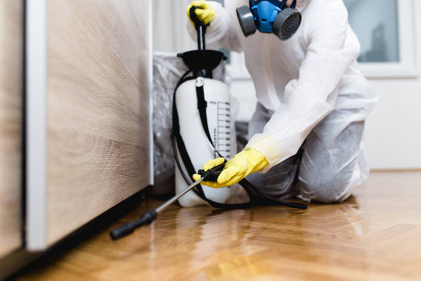 Pest Control Cost in Tye, TX