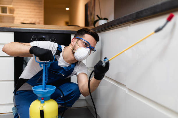 Best Pest Removal Services  in Tye, TX
