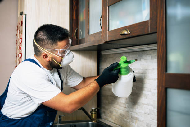 Best Rat Extermination Near Me  in Tye, TX