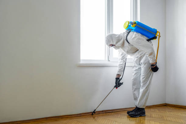Best Bed Bug Extermination  in Tye, TX