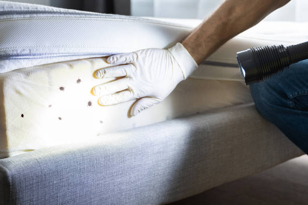 Best Exterminator Services  in Tye, TX