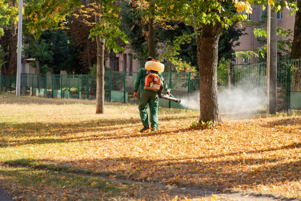 Best Pest Control Near Me  in Tye, TX