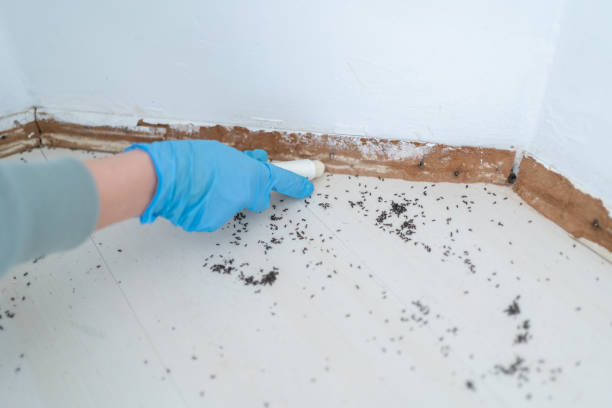 Best Pest Control Cost  in Tye, TX