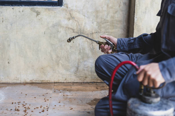 Best Emergency Pest Control  in Tye, TX